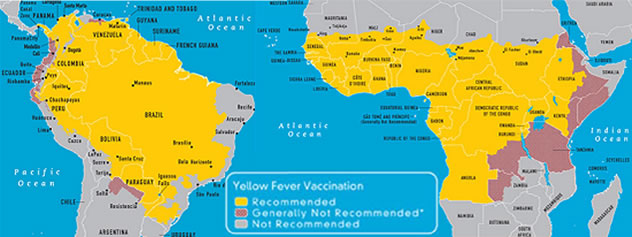 Yellow Fever Vaccine And Yellow Fever Vaccination Guide